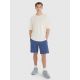 2. Shorts 4F M 4FWMM00TSHOM543-32S