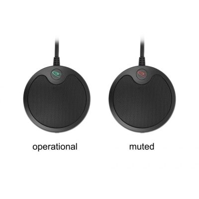 2. DeLOCK Omnidirectional USB Condenser Microphone for Conferences
