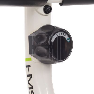 46. Horizontal magnetic bike HMS R9259 white and green