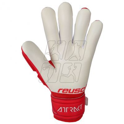 2. Goalkeeper gloves Reusch Attrakt Freegel Silver 5170235 3002