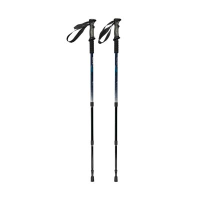 CMP Bern Trekking Poles Black and Blue 3B36297 M916