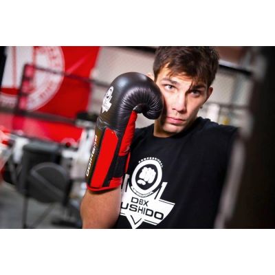 6. 12oz Boxing Gloves - Phantom Red - Valor Series