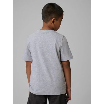 2. Boy's regular printed T-shirt 4F 4FJRSS26TTSHM3599-10S