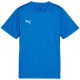 3. Puma TeamGoal Jersey for kids blue 658637 02