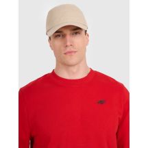 Men's sweatshirt without zipper, without hood, 4F 4FWMM00TSWSM1767-062S