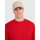 Men's sweatshirt without zipper, without hood, 4F 4FWMM00TSWSM1767-062S