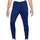 2. Nike Dri-FIT Academy Pant M AJ9729 455