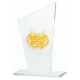 8. Engraved glass trophy + paint filling