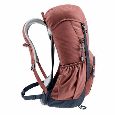 4. Deuter 3430021-5341 Hiking Backpack 22L Chestnut