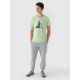 3. Men's regular printed T-shirt 4F 4FRAW24TTSHM2301-41S