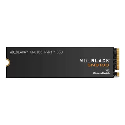 3. SSD WD Black SN8100 w/o HS 1TB WDS100T1X0M