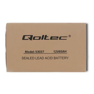 6. Qoltec 53037 maintenance-free battery