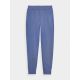 5. Women's quick-drying training pants 4F 4FWAW24TFTRF689-31S