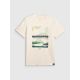 7. Men's regular printed T-shirt 4F 4FRAW25TTSHM3378-11S