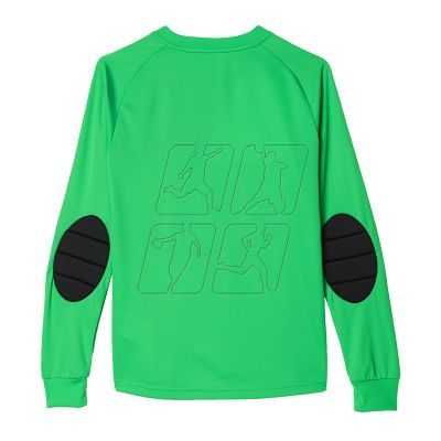2. Adidas Assita 17 Jr AZ5406 sweatshirt