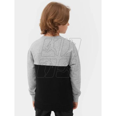 4. 4F Jr sweatshirt 4FJAW23TSWSM630-27M