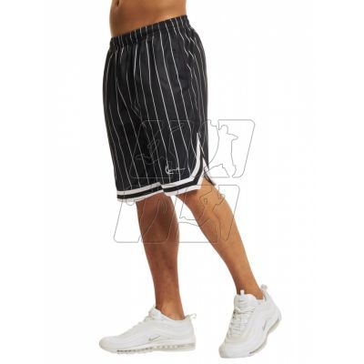 2. Karl Kani Small Signature Pinstripe Mesh Short M 6014920