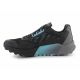4. Shoes adidas Terrex Agravic Flow 2 GTX M H03382