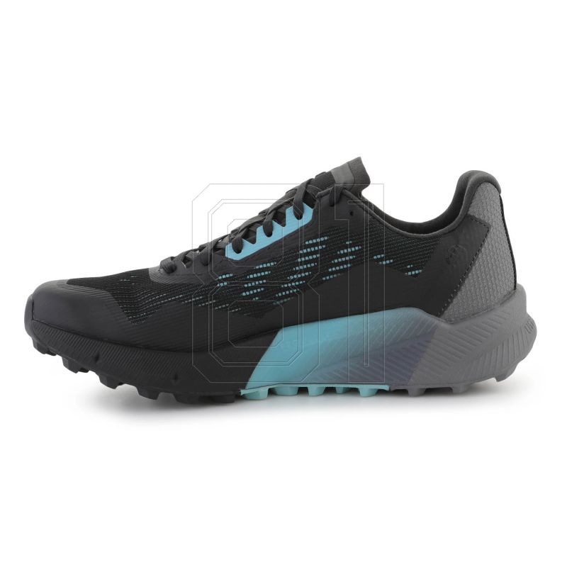 4. Shoes adidas Terrex Agravic Flow 2 GTX M H03382