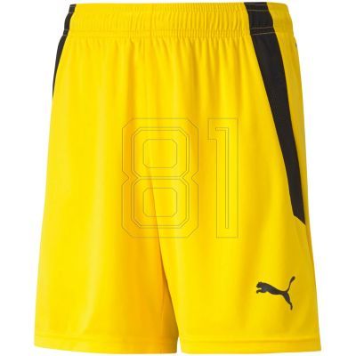 2. Puma teamLIGA Shorts Jr 704931 07
