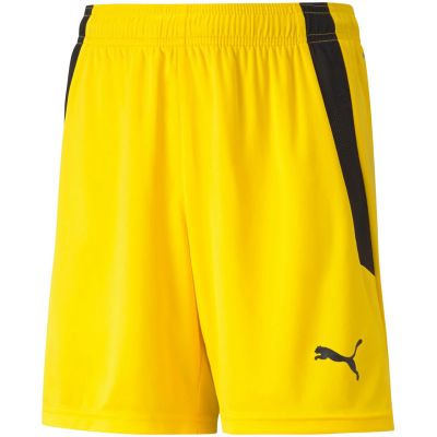 2. Puma teamLIGA Shorts Jr 704931 07
