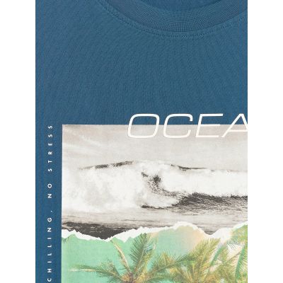 6. Men's regular printed T-shirt 4F 4FRSS26TTSHM4304-46S
