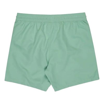 2. Billabong All Day Layback 16" Shorts EBYJV00134-GGV0 Green L