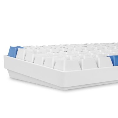 5. Sharkoon SKILLER SGK50 S3 PBT Gaming Keyboard USB QWERTZ German White