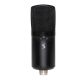 2. STAGG SUM60D - USB Condenser Microphone