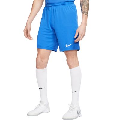 10. Nike Dry Park III NB M BV6855 463 Shorts