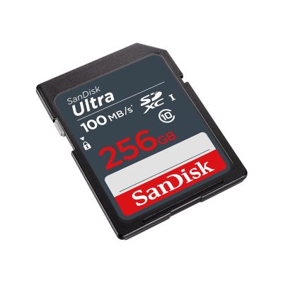 2. SANDISK ULTRA SDXC CARD 256GB 100MB/s