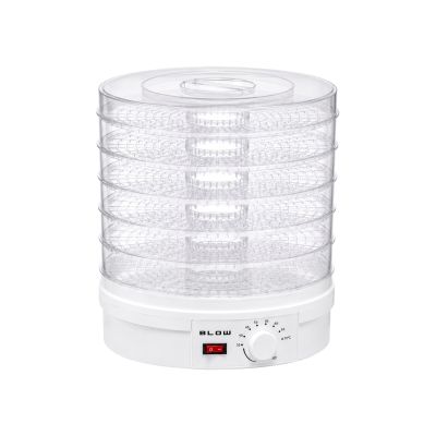 2. Blow Dryer for Mushrooms and Fruits FD-01 500W