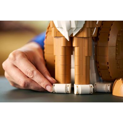 2. LEGO Ideas 21376 - Ginger Cat