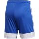 5. Adidas Tastigo 19 Shorts M DP3682 shorts