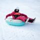 39. Meteor Owl Snow Slide 16765