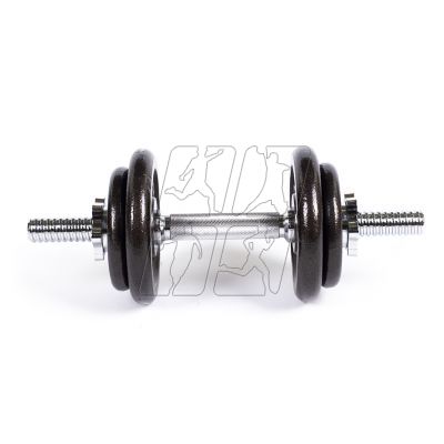 3. Profit 10kg DK 4126 cast iron dumbbell