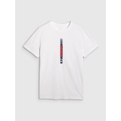 7. Men's regular printed T-shirt 4F 4FRAW25TTSHM3225-10S