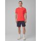 6. Men's quick-drying training shorts 4F 4FRSS26TFSHM1660-23S