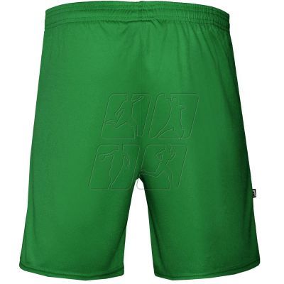 3. Zina Iluvio Senior match shorts M Z01929_20220201120132 green