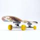 16. Skateboard SMJ sport BS-Q3108FC License Plates HS-TNK-000011611