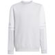 10. Adidas Squadra 25 Sweat Crew Jr JD4824 sweatshirt