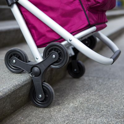 4. Expert Premium 604353 Shopping Cart