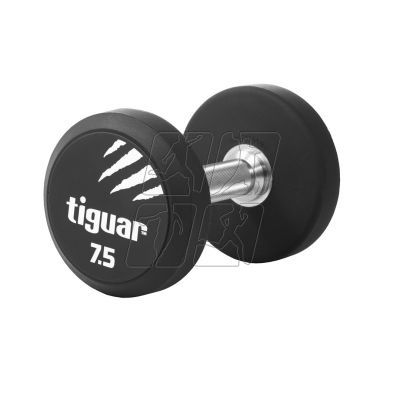 2. Tiguar dumbbell TI-WHPU0075