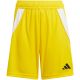 3. Adidas Tiro 24 Jr IT2410 shorts