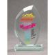 3. Glass trophy with LuxorJet color print and case