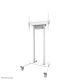2. Neomounts FL55-875WH1 Sign Mount 2.54 m (100") White