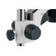 5. Levenhuk ZOOM 1T 45x Optical Microscope