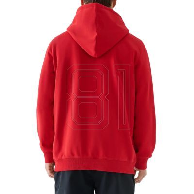 3. Sweatshirt 4F M 4FWMM00TSWSM1766 062S