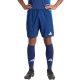 3. Adidas Tiro 24 Competition Match M shorts IQ4754
