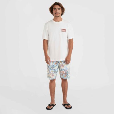 9. O'Neill Beach Graphic T-Shirt M 92800613968